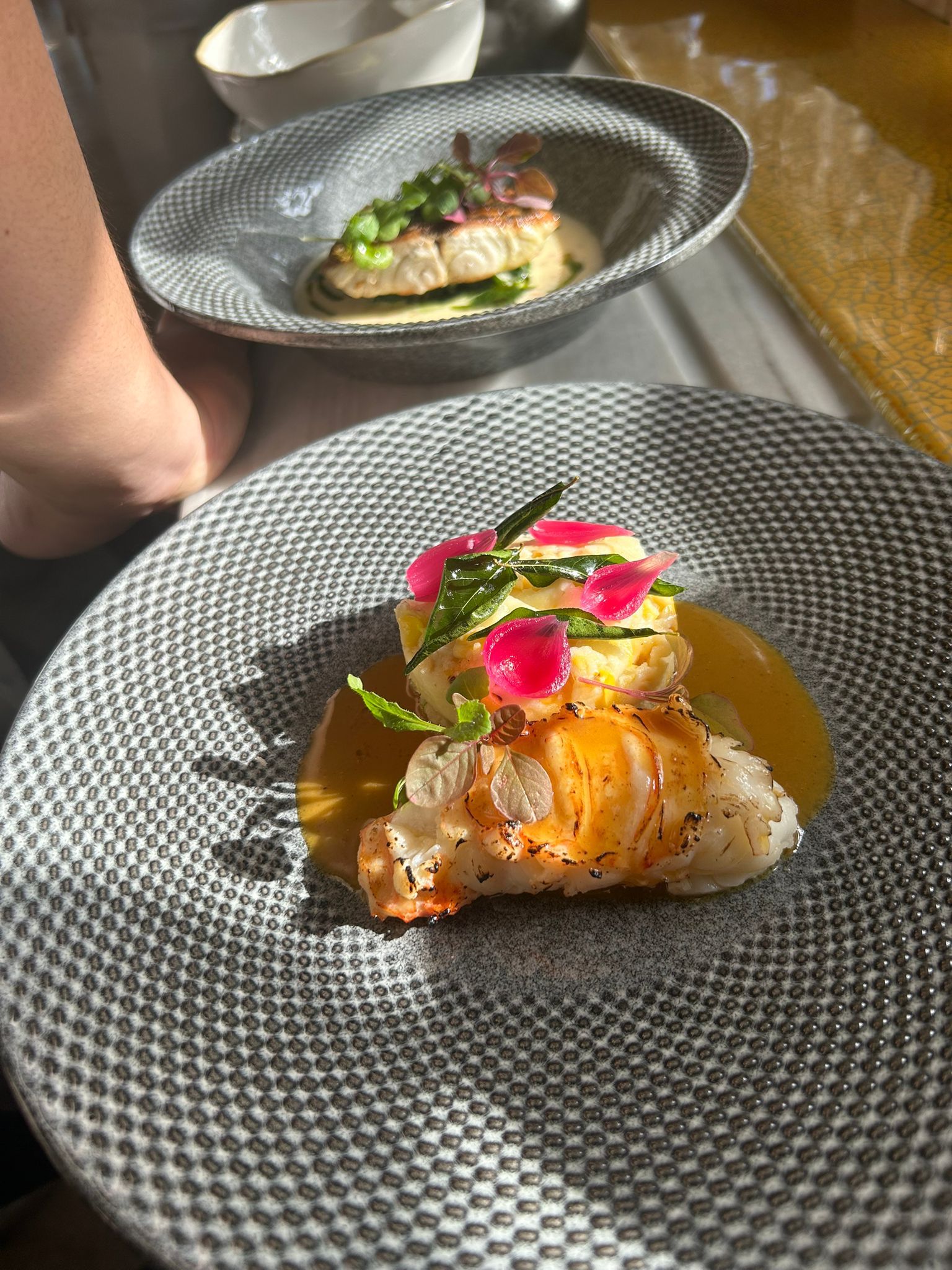 Wellness cuisine — from sourcing to plate 6